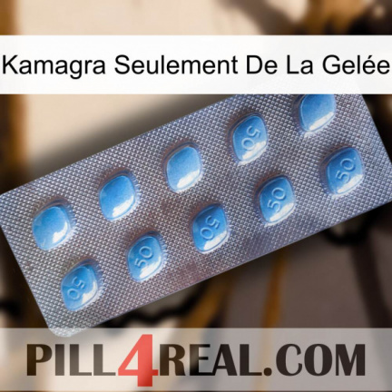 Kamagra Seulement De La Gelée viagra3